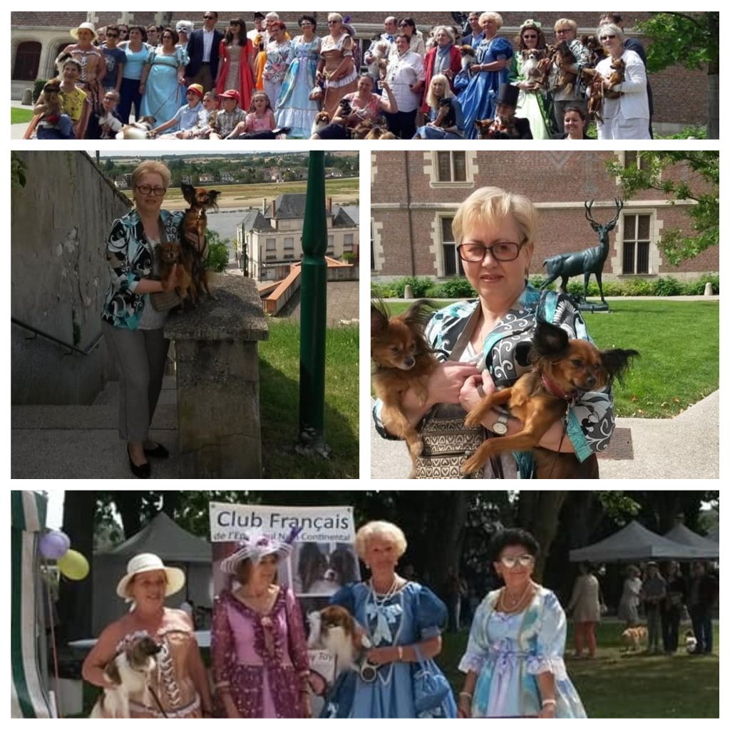 Kalinka Style - Journée festive au Château de Gien organisé par le CFENCRT.